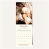 Miss Bashful & LadyKub - “20-20 SEX” 2026, Calendar